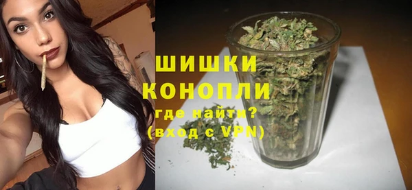 сатива Алексин