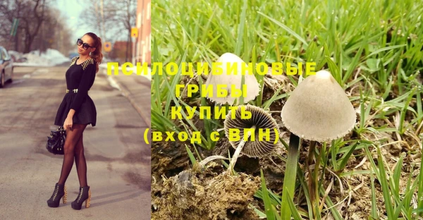 соль курить ск Алексеевка